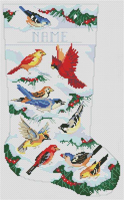 (image for) Birds of Winter Stocking